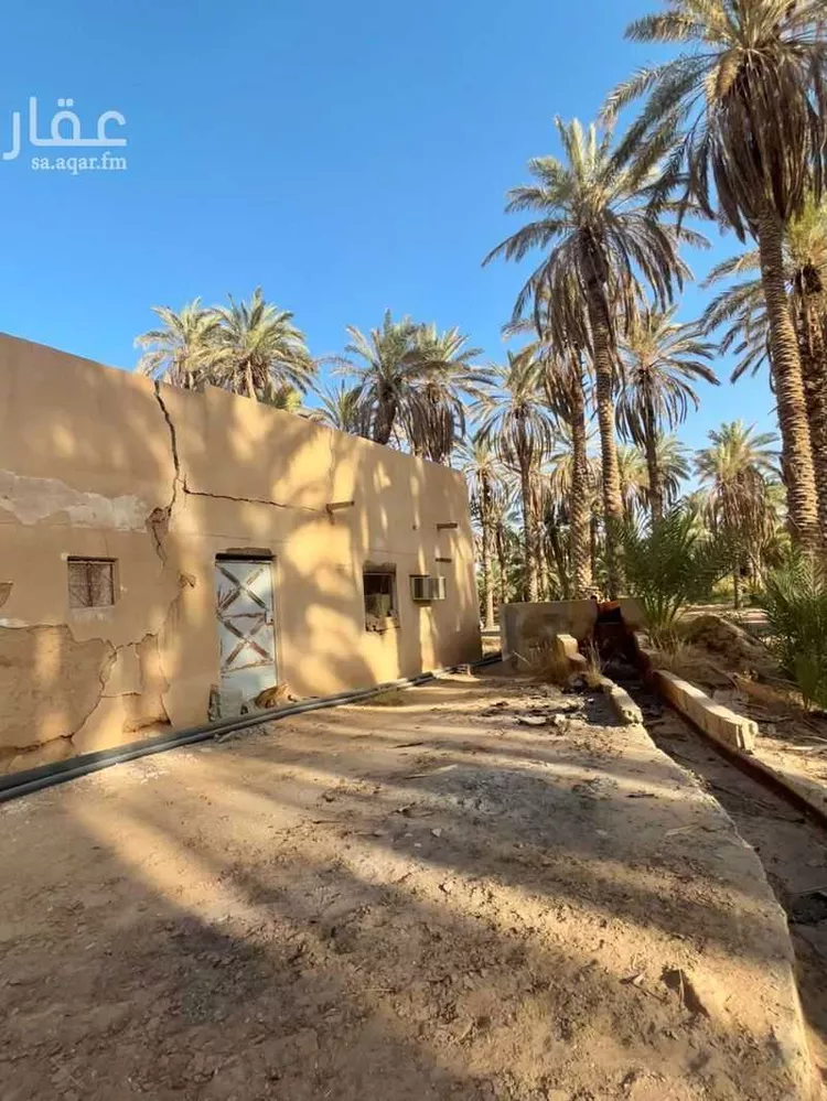 مزرعة للبيع في شارع ابن عثيمين ، حي العطيان ، حوطة بني تميم ، حوطة بني تميم صورة 3
