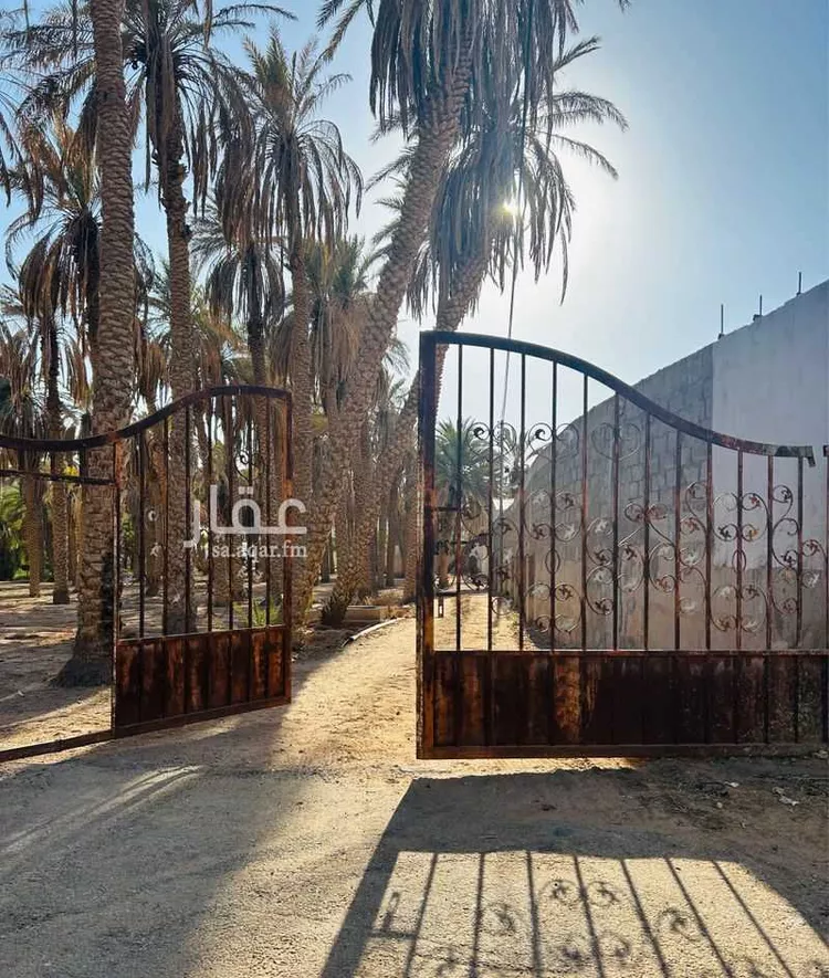 مزرعة للبيع في شارع ابن عثيمين ، حي العطيان ، حوطة بني تميم ، حوطة بني تميم صورة 4