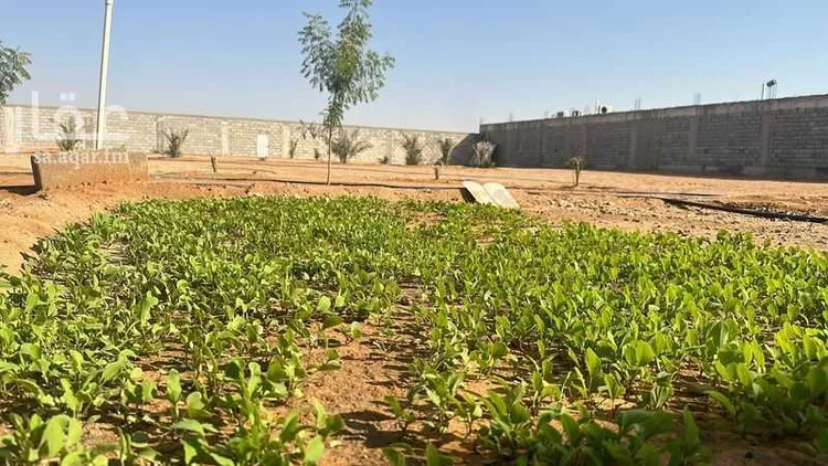 أرض للبيع في شارع الحزم والبطينه 5 ، الخرج ، الدلم