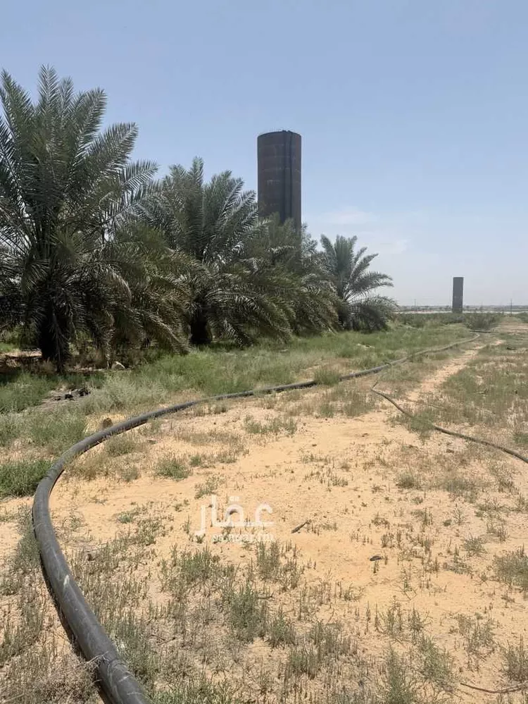 Farm for Sale in Buraydah Ash Shiqah صورة 3