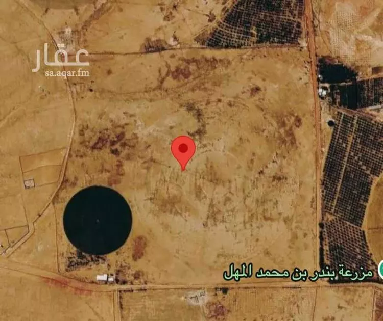 مزرعة للبيع في شارع غير مسمى, حي مزارع البكيريه الشماليه, مدينة مزارع البكيريه الشماليه, منطقة القصيم