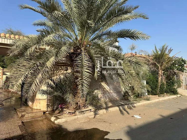 استراحة للبيع في شارع أبو إسحاق الأنصاري, حي طيبة, مدينة جدة, منطقة مكة المكرمة صورة 2