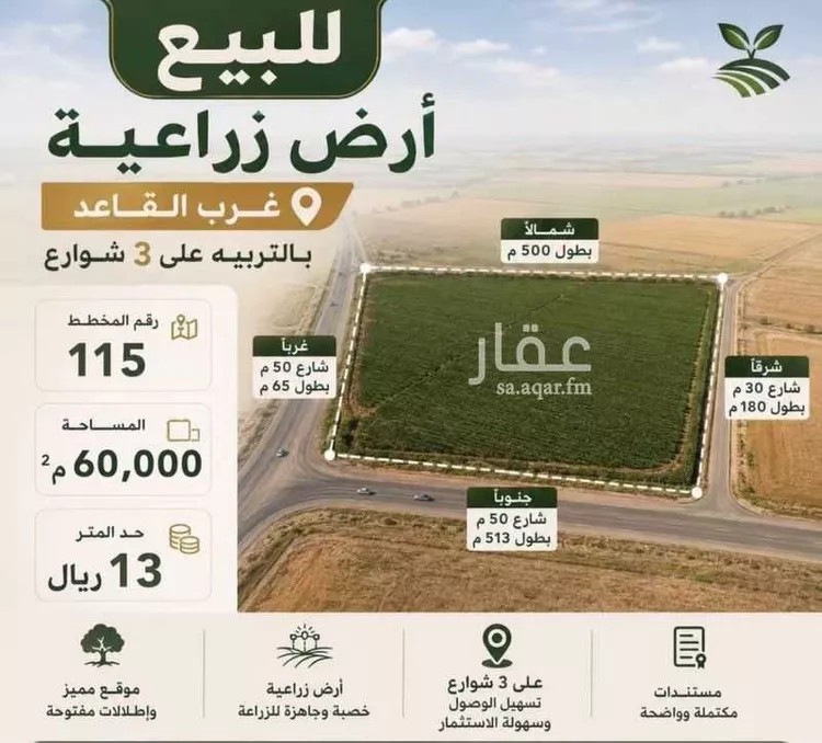 مزرعة للبيع في شارع منيفة القاعد 421 ، منيفة القاعد ، منطقة حائل