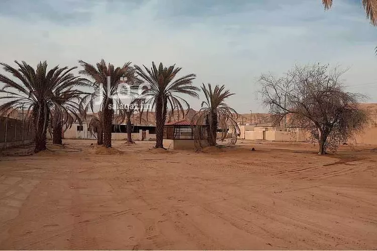 استراحة للبيع في شارع قصور ال مقبل 553 ، الرياض ، ضرما صورة 5