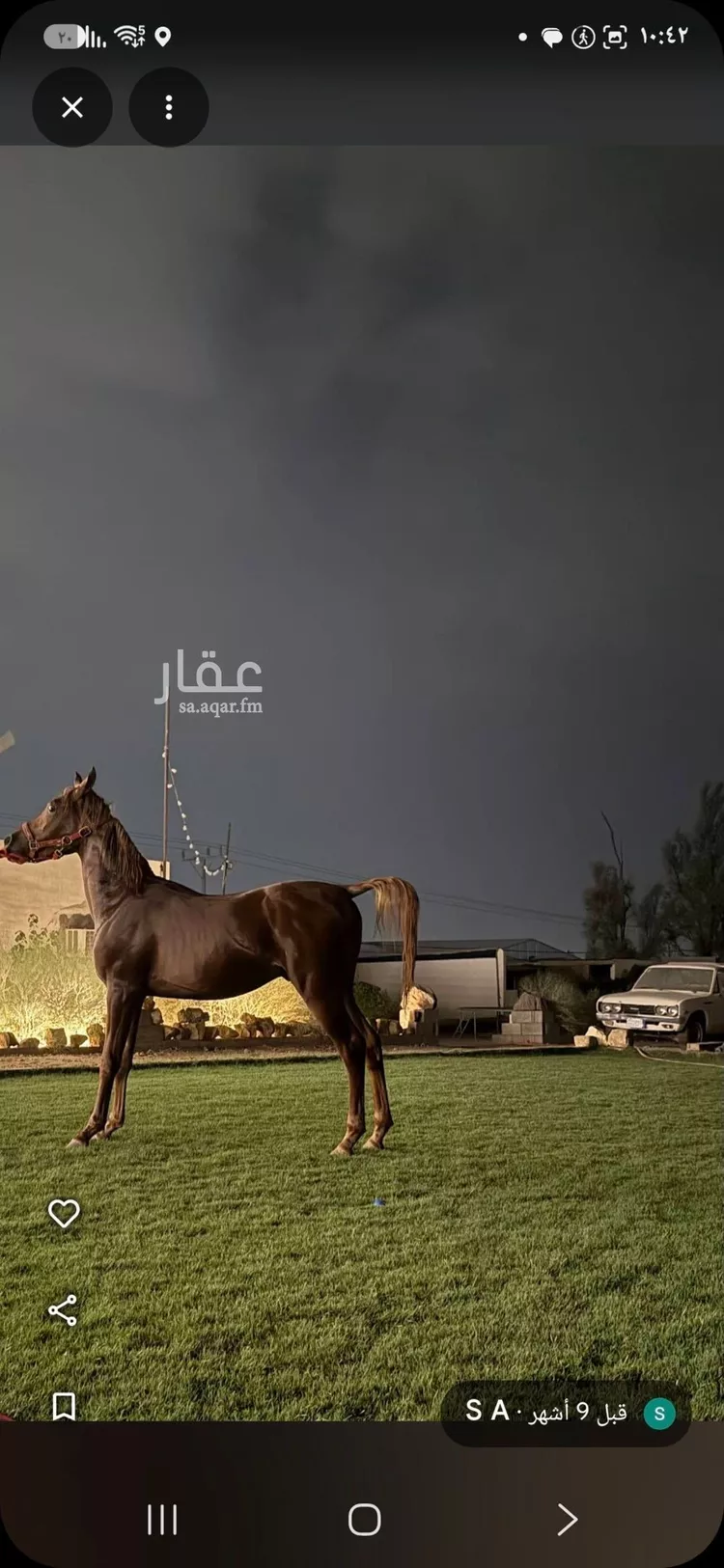 Farm for Sale in Buraydah Al Qaa Al Barid