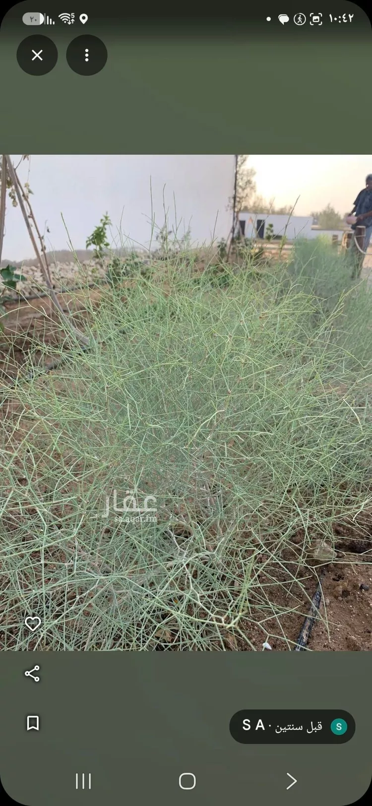 مزرعة للبيع في شارع عرض 15, مدينة بريدة, منطقة القصيم 19