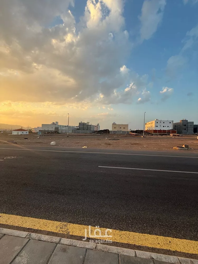 أرض للبيع في شارع يحيى بن عتيق, حي نبلاء, مدينة المدينه المنوره, منطقة المدينة المنورة صورة 4