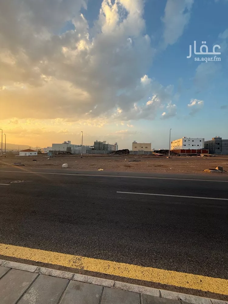 أرض للبيع في شارع يحيى بن عتيق, حي نبلاء, مدينة المدينه المنوره, منطقة المدينة المنورة صورة 3