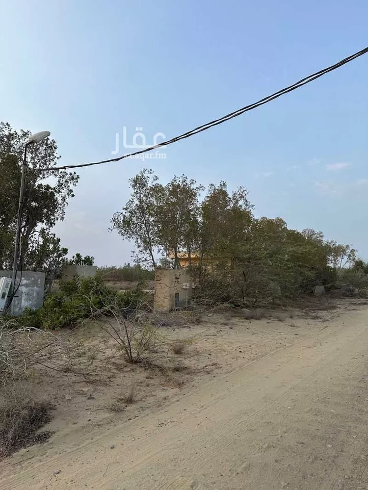 أرض للبيع في شارع المرابي 825, حي المرابي, مدينة المرابي, منطقة جازان صورة 5