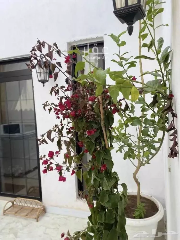 Apartment for Rent in Riyadh Okaz 12