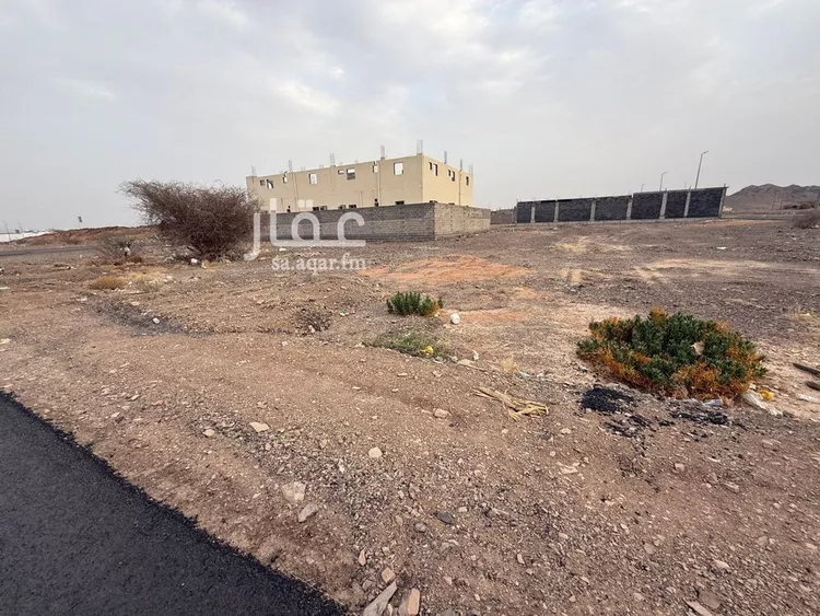 أرض للبيع في شارع الصهلوج 115, حي أبو مرخة, مدينة المدينه المنوره, منطقة المدينة المنورة صورة 4