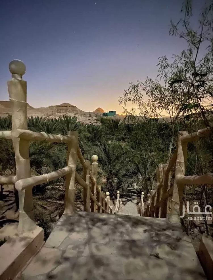 مزرعة للبيع في شارع العماريه 638, حي مشروع مخطط استراحات, مدينة مشروع مخطط استراحات, منطقة الرياض صورة 3