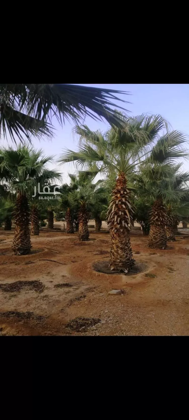 مزرعة للبيع في المجمعة 19