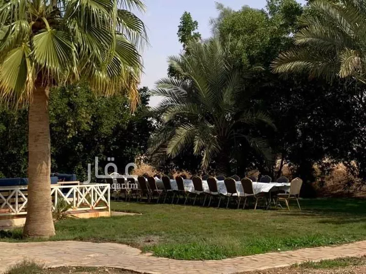 مزرعة للبيع في المجمعة 15