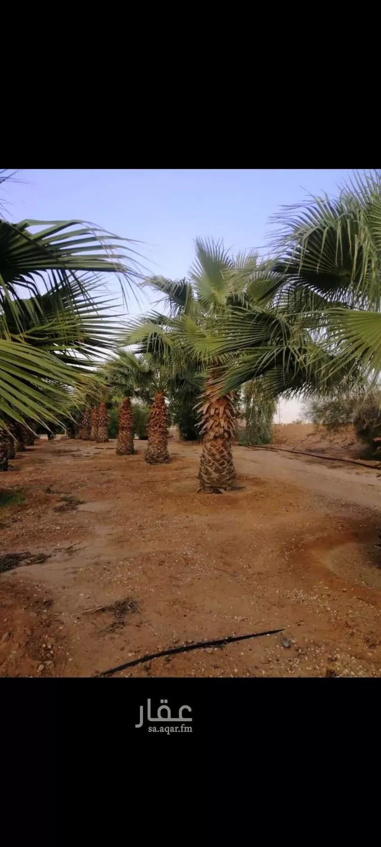 مزرعة للبيع في المجمعة 21