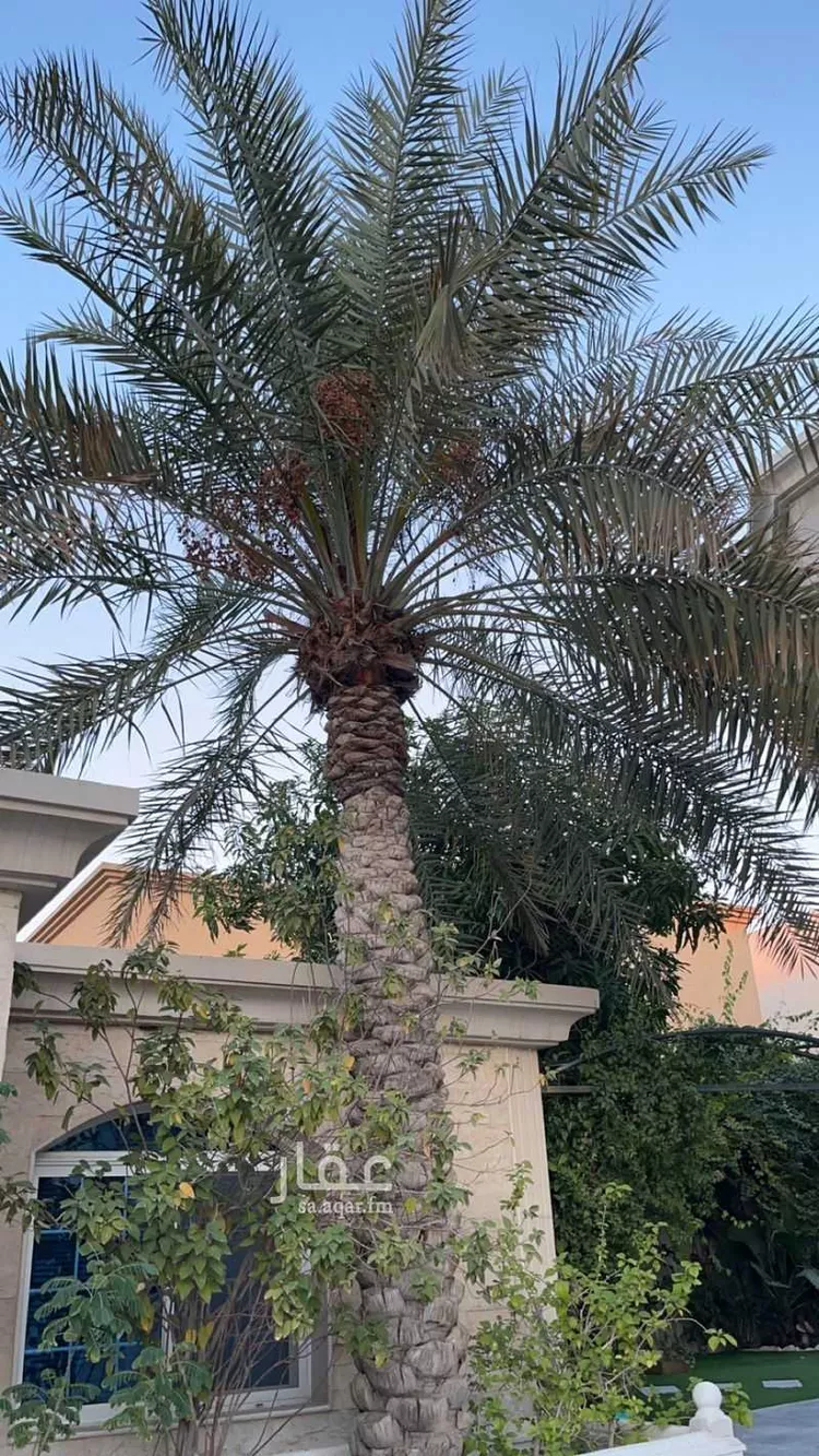 فيلا للبيع في شارع التجاري ، حي النزهة ، الدمام ، الدمام 23