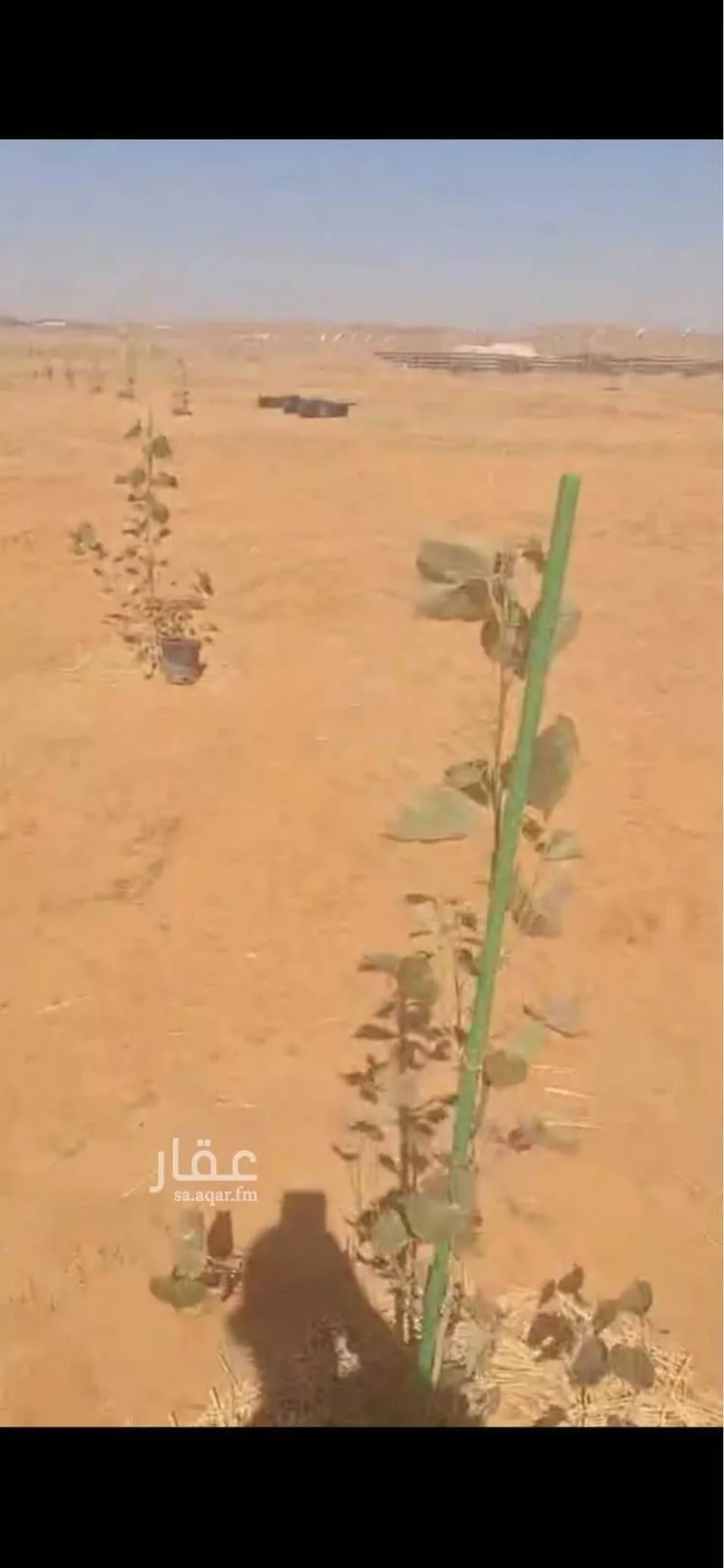 أرض للبيع في شارع 1111, مدينة مرات, منطقة الرياض صورة 3