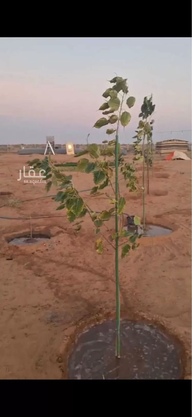 أرض للبيع في شارع 1111, مدينة مرات, منطقة الرياض صورة 2