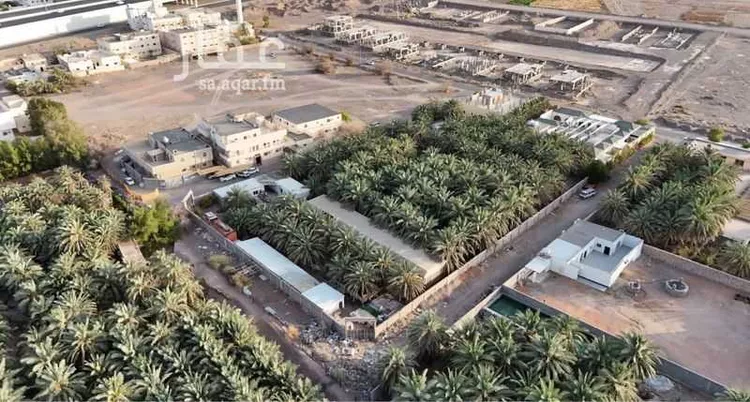 مزرعة للبيع في شارع عبدالرحمن ابن اسامة الانصاري, حي ذو الحليفة, مدينة المدينة المنورة, منطقة المدينة المنورة صورة 3