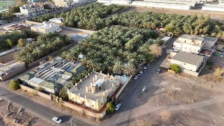 مزرعة للبيع في شارع غالب السراج, حي ذو الحليفة, مدينة المدينة المنورة, منطقة المدينة المنورة 3