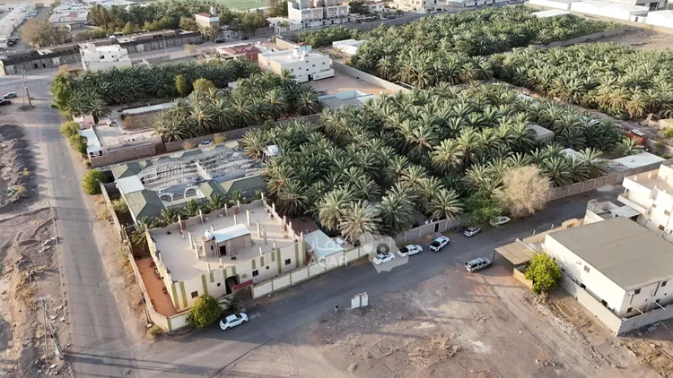 مزرعة للبيع في شارع غالب السراج, حي ذو الحليفة, مدينة المدينة المنورة, منطقة المدينة المنورة 7