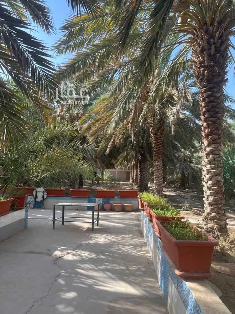 مزرعة للبيع في شارع عبدالرحمن ابن اسامة الانصاري, حي ذو الحليفة, مدينة المدينة المنورة, منطقة المدينة المنورة صورة 5