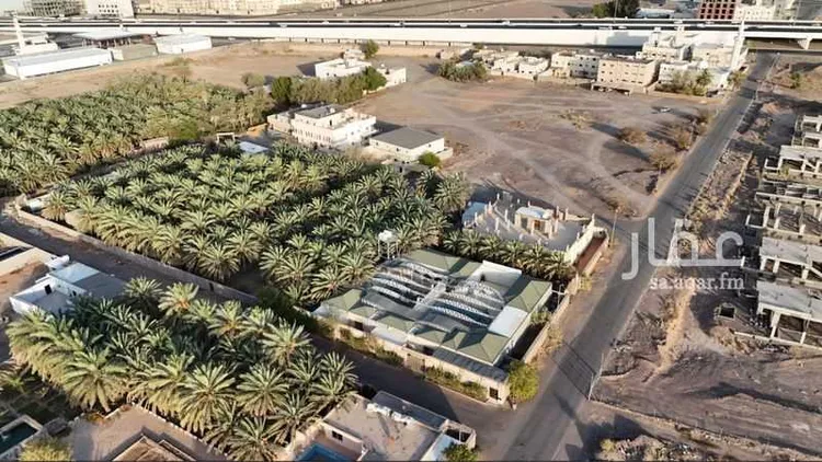 مزرعة للبيع في شارع عبدالرحمن ابن اسامة الانصاري, حي ذو الحليفة, مدينة المدينة المنورة, منطقة المدينة المنورة