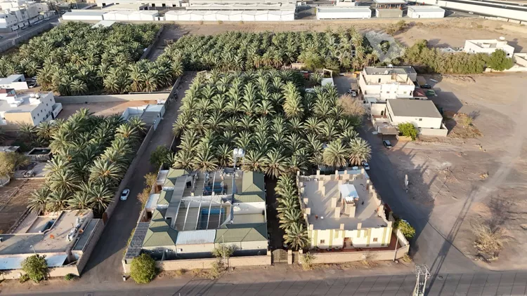 Farm for Sale in Medina Dhu Al Hulayfah