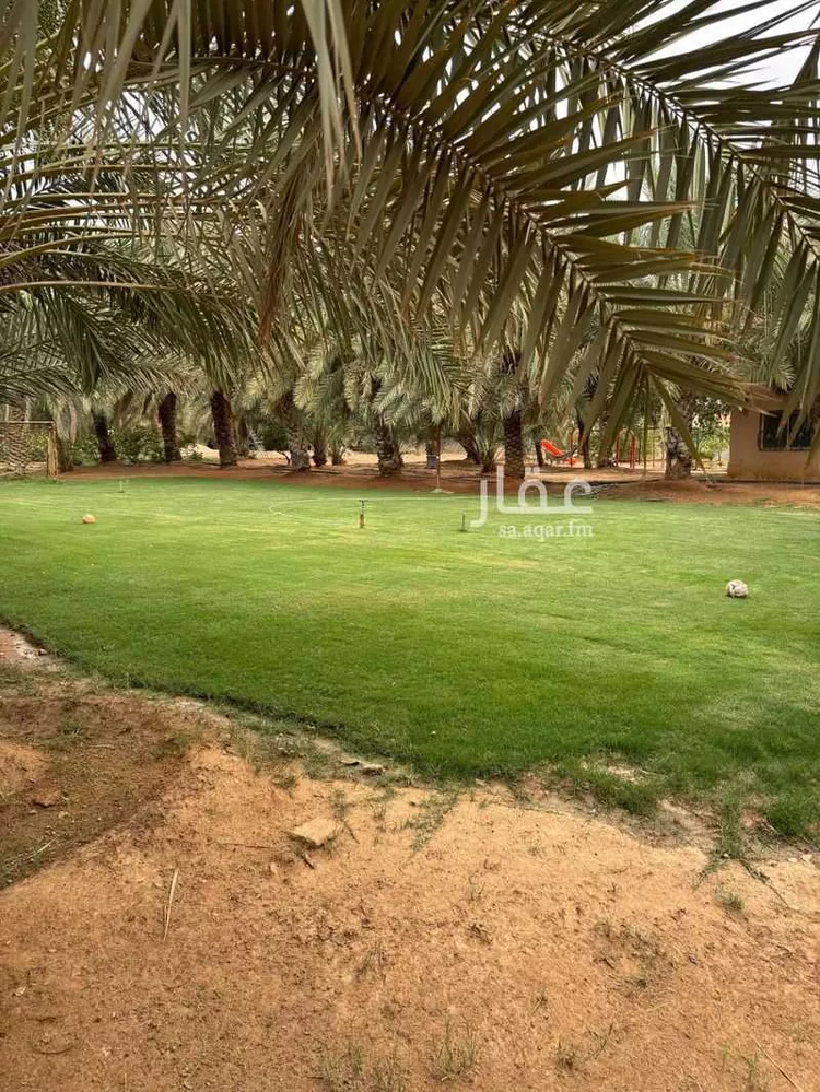 مزرعة للبيع في شارع هجره الذيبيه وخضراء 2623, حي هجره الذيبيه وخضراء, مدينة هجره الذيبيه وخضراء, منطقة الرياض صورة 3