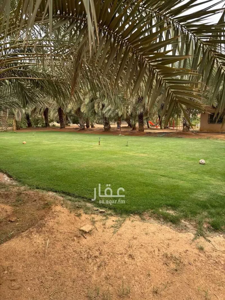 مزرعة للبيع في شارع هجره الذيبيه وخضراء 2623 ، المشاعلة ، المزاحمية صورة 5