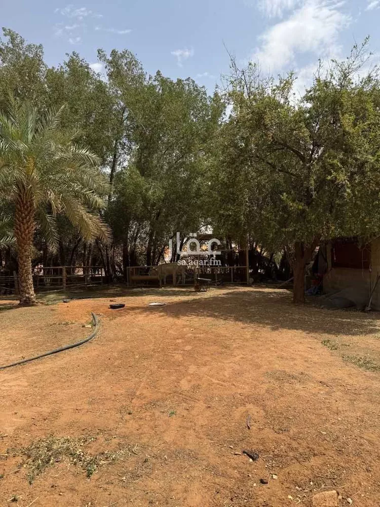 مزرعة للبيع في شارع هجره الذيبيه وخضراء 2623, حي هجره الذيبيه وخضراء, مدينة هجره الذيبيه وخضراء, منطقة الرياض صورة 2