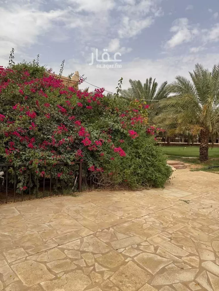 مزرعة للبيع في شارع هجره الذيبيه وخضراء 2623 ، المشاعلة ، المزاحمية صورة 4