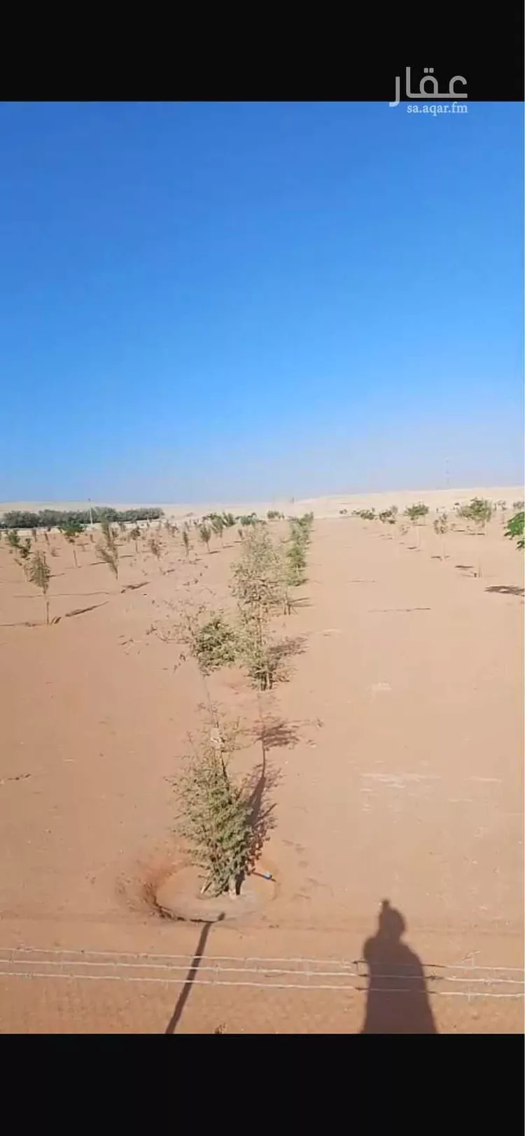 أرض للبيع في شارع حجرفه 465, حي حجرفه, مدينة حجرفه, منطقة الرياض صورة 2