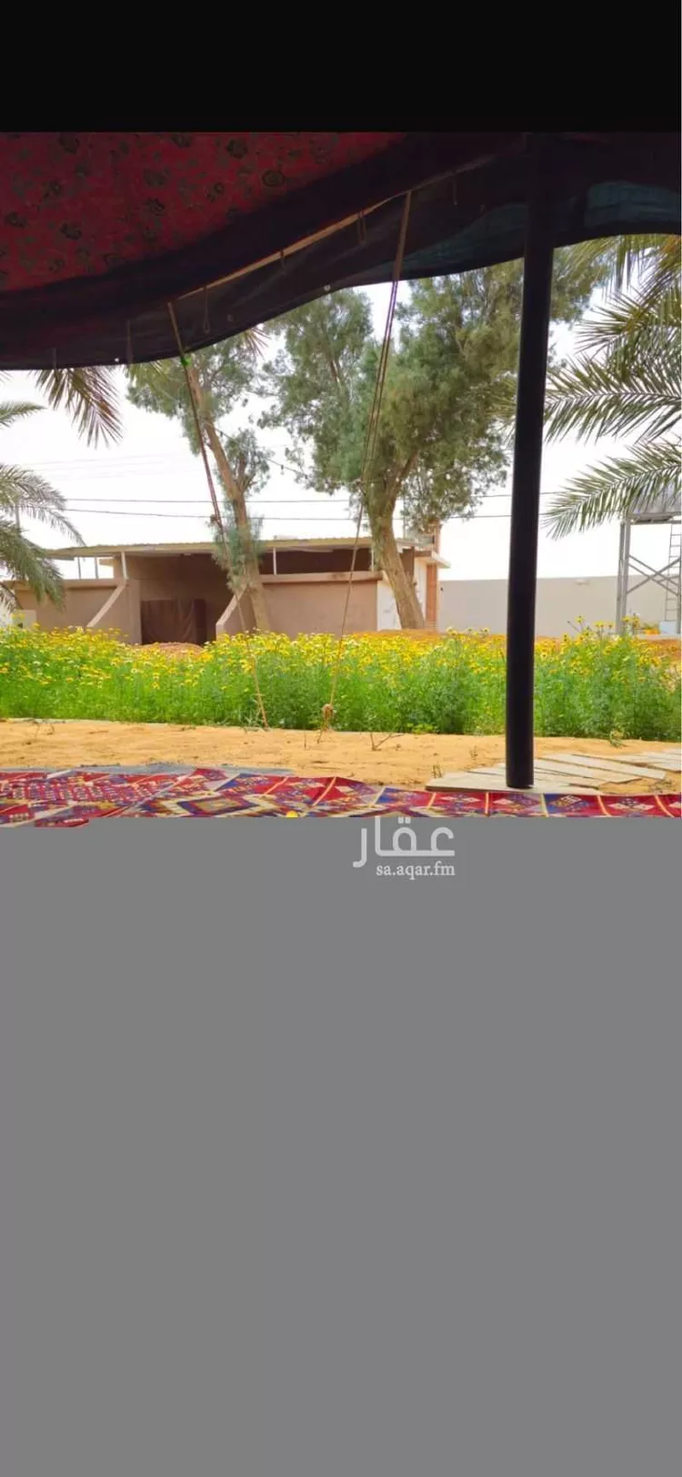 مزرعة للبيع في شارع بريده 999, حي عين حمزة, مدينة بريدة, منطقة القصيم صورة 5