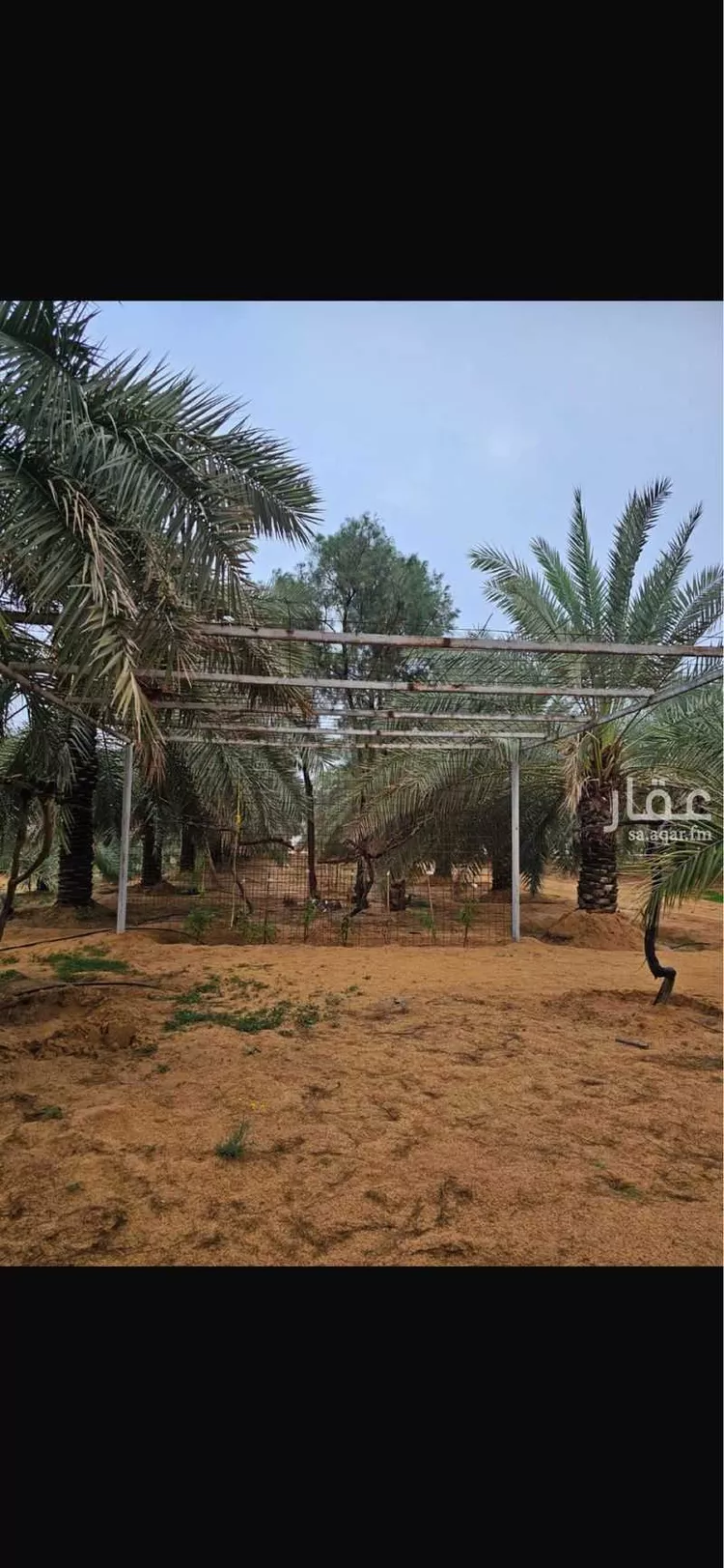 مزرعة للبيع في شارع بريده 999, حي عين حمزة, مدينة بريدة, منطقة القصيم