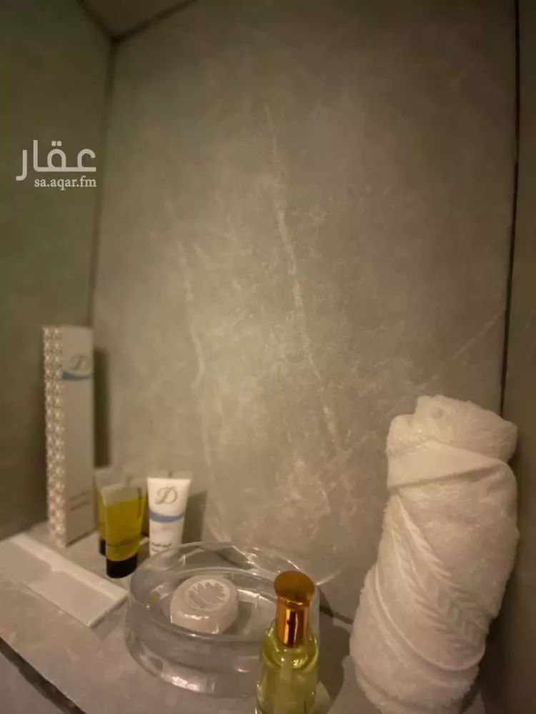 Furnished Apartment for Booking in Riyadh Al Falah 10