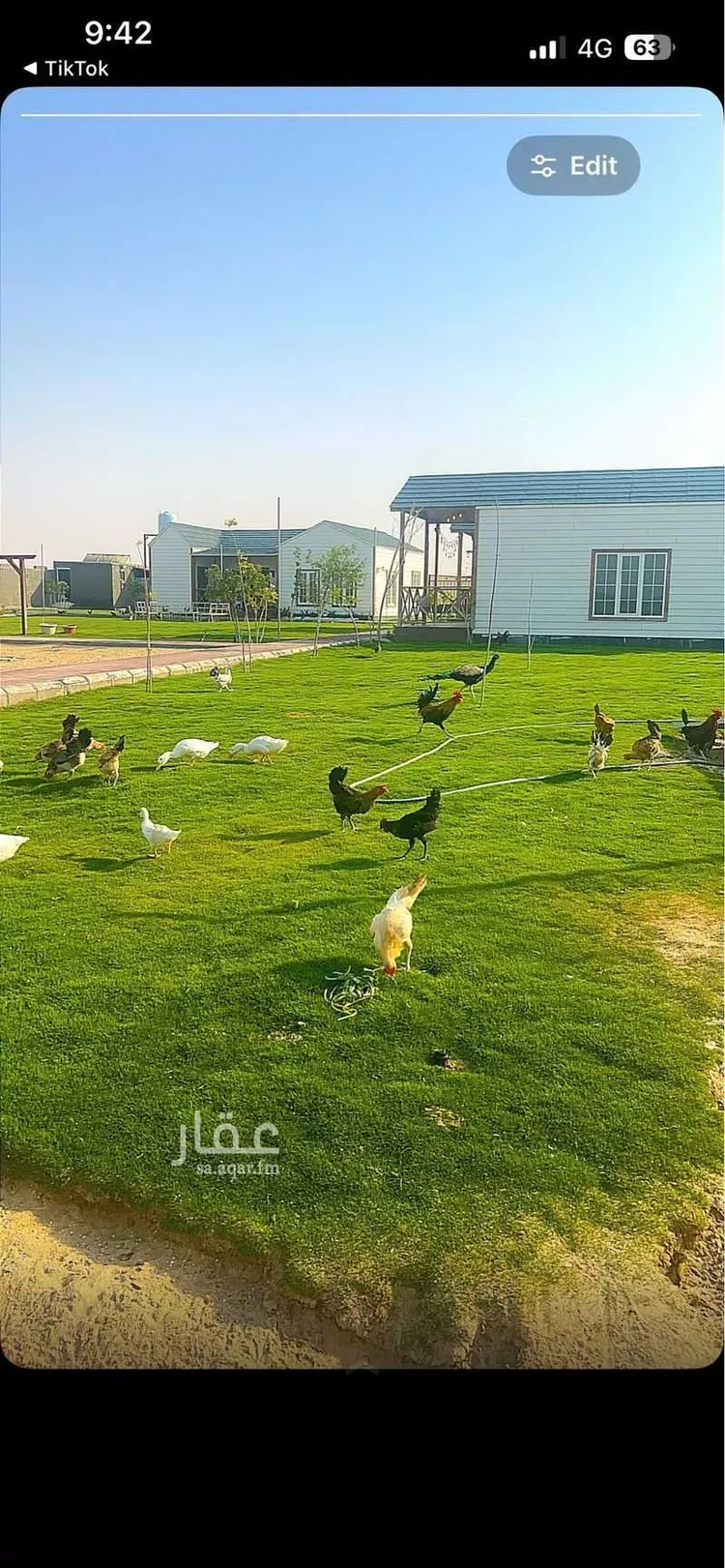 مزرعة للبيع في حي مزرعه الصبيغاوى ومجموعه مزارع, مدينة مزرعه الصبيغاوى ومجموعه مزارع, المنطقة الشرقية 8