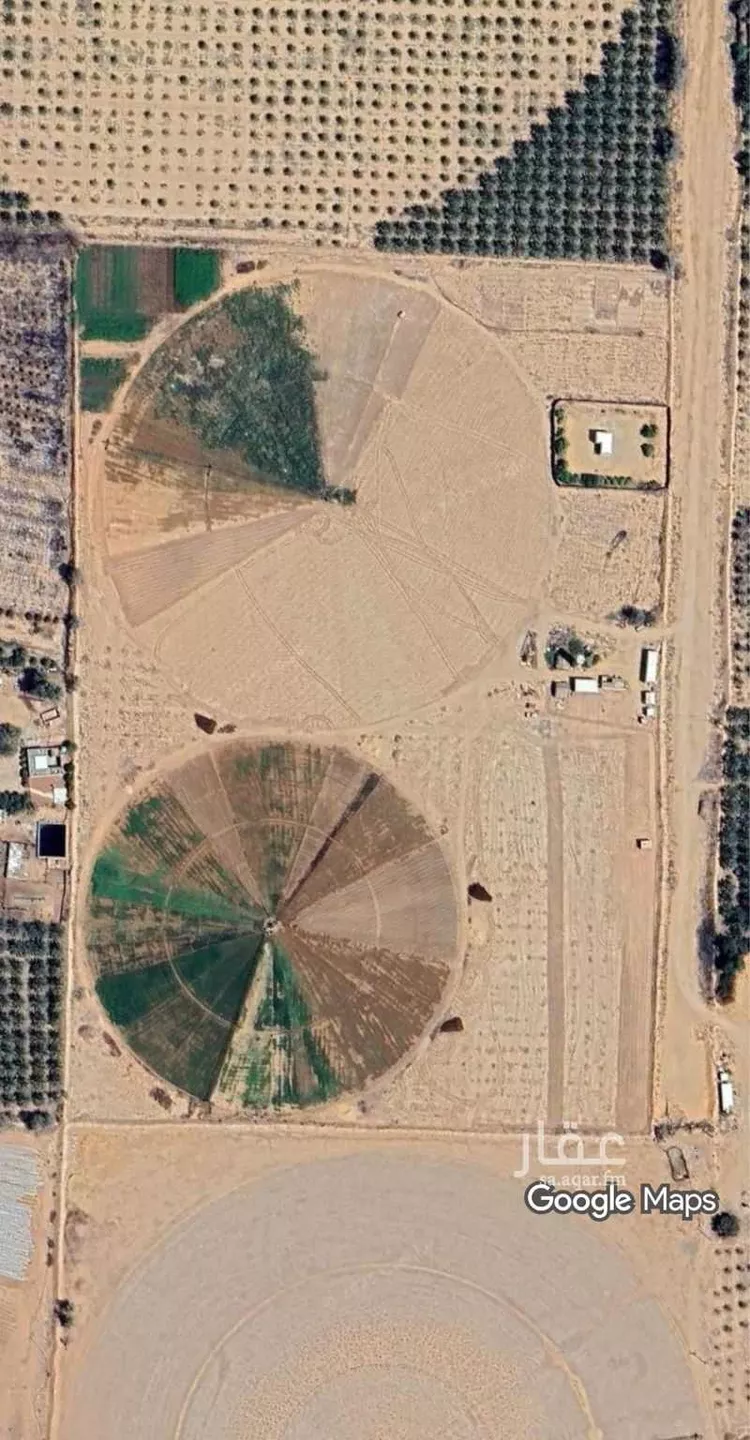 مزرعة للبيع في شارع الضلفعة, مدينة عيون الجواء, منطقة القصيم
