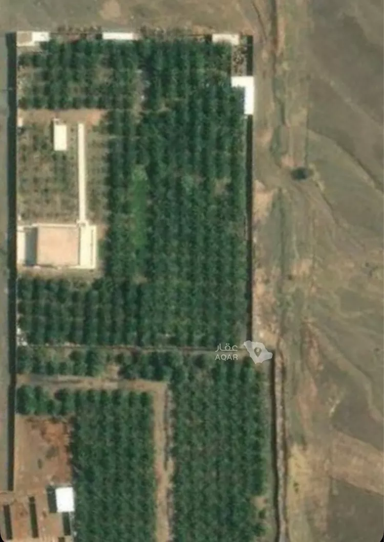 Farm for rent in Medina Al Balqaa