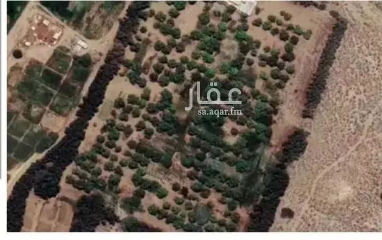 مزرعة للبيع في شارع زراعي , مدينة المدرك, منطقة جازان صورة 5