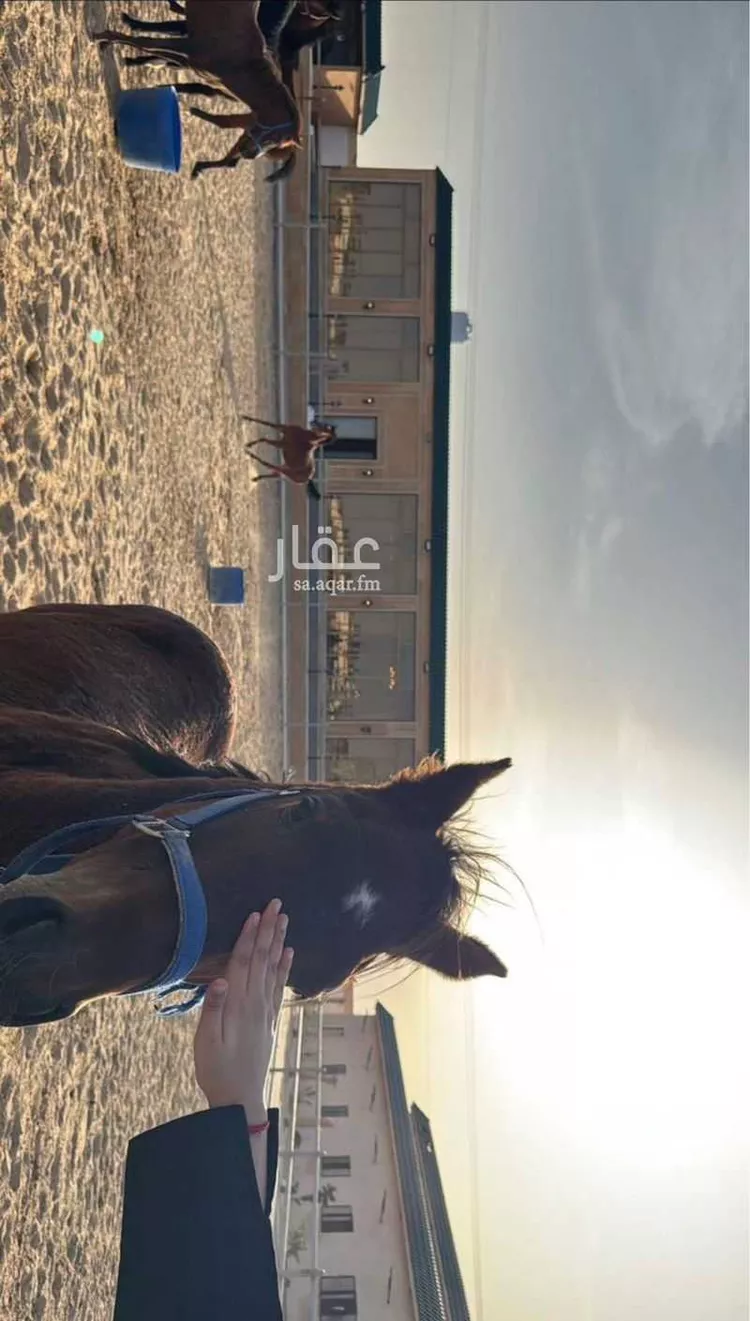 Farm for Sale in Buqayq Ar Rabwah