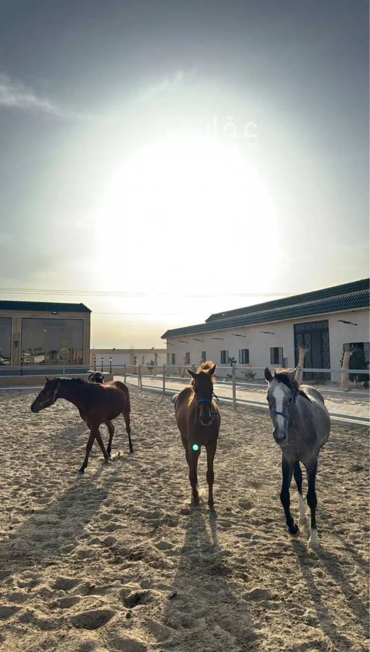 مزرعة للبيع في جنيح ، بقيق صورة 2