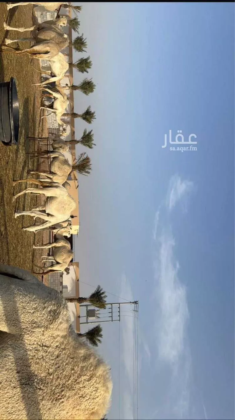 مزرعة للبيع في جنيح ، بقيق صورة 3