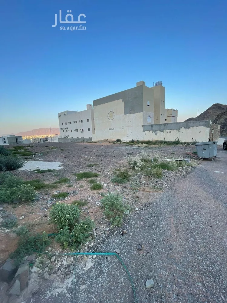 أرض للبيع في شارع سليمان بن حمزة المقدسي, حي الجماوات, مدينة المدينه المنوره, منطقة المدينة المنورة صورة 2