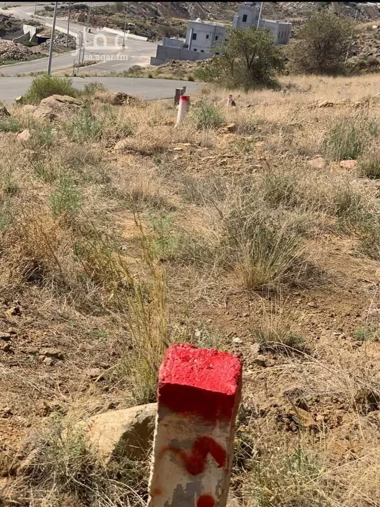 أرض للبيع في شارع ابو الحصى ، ابها ، منطقة عسير صورة 5