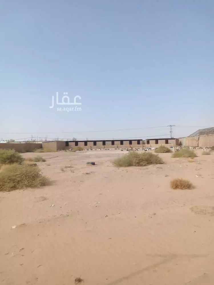 أرض للإيجار في شارع زيد بن حارثة, حي العرفاء الشرقية, مدينة الطائف, منطقة مكة المكرمة صورة 5