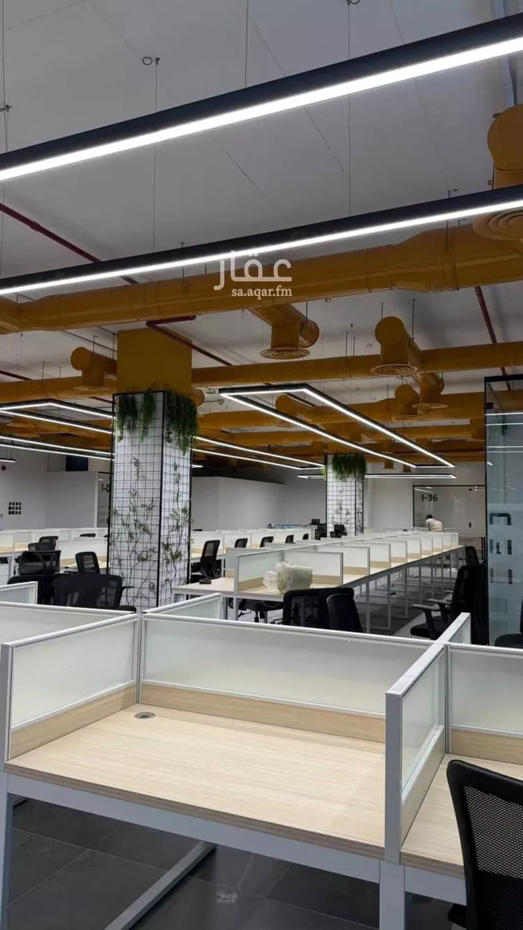مكتب تجاري للإيجار في شارع صيدا, حي الدريهمية, مدينة الرياض, منطقة الرياض صورة 5