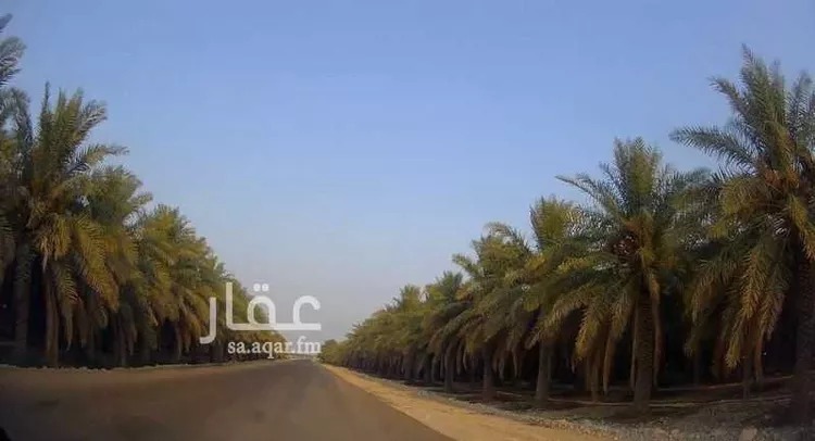 مزرعة للبيع في شارع سعود بن فيصل بن تركي, مدينة الاحساء, المنطقة الشرقية