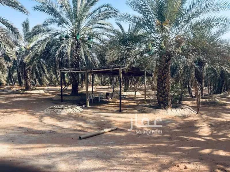 مزرعة للبيع في شارع الرعشاء ، حي ام الشعال ، الرياض ، منطقة الرياض صورة 3