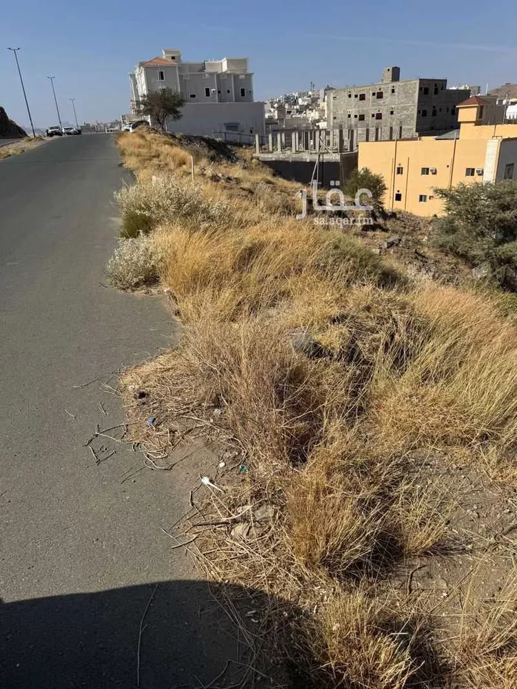 أرض للبيع في شارع المتوكل بالله, حي القراحين, مدينة امارة منطقة مكة المكرمة - الطائف, منطقة مكة المكرمة صورة 3